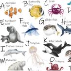  Poe погреб tsu транскрипция бумага SEA CREATURES ALPHABET(si- Creature алфавит ) море. компания море . рыба симпатичный кит nimo краб рыба дельфин 