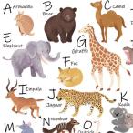  Poe погреб tsu транскрипция бумага ANIMAL ALPHABET( животное алфавит )/ симпатичный животное 