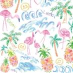 ¥Ý¡¼¥»¥é¡¼¥Ä ž¼Ì»æ ¥Ï¥ï¥¤¥¢¥ó ALOHA SUMMER(¥¢¥í¥Ï¥µ¥Þ¡¼)