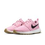 ナイキ(NIKE)(メンズ)ゴルフシューズ ローシ G ネクスト ネイチャー DV1202-601