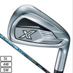  XXIO (XXIO)( мужской ) XXIO 13 X железный Dynamic Gold 95