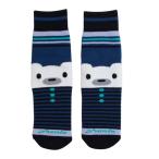  Phoenix (PHENIX)( Kids ) Junior ребенок лыжи сноуборд герой камера носки ESB23SO84 NAVY