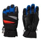  Phoenix (PHENIX)( Kids ) Kids Junior Triangular Motif Gloves треугольник узор перчатка ESB25GL82BLACK