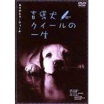 ◇盲導犬クイールの一生/グーッドグーッド(2作品カップリング)/PCBE50376