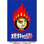 ◇木更津キャッツアイ 日本シリーズ/ZMBJ1770