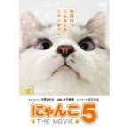 【中古】にゃんこ THE MOVIE 5　b17511／PCBC-72100【中古DVDレンタル専用】