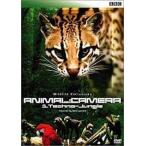 【中古】BBC   アニマル・カメラ　密林の驚異    b42246【レンタル専用DVD】