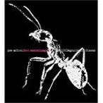 【新品】feel something？　c349／pre-school／TFCC-86108【新品CD】