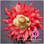 【中古】re*PINK / Bonnie Pink    c6399【中古CD】