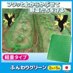  птица .. сеть мягкий зеленый птица ..kalas защита от птиц сеть сеть огород поле фруктовое дерево садоводство зона для выброса мусора веранда птица меры садоводство сопутствующие товары животное избежать 