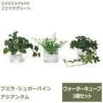  искусственная зелень декоративное растение человеческий труд декоративное растение искусственный цветок настольный Mini p Mira shuga- Vine Asian tam вода Cube 3 шт. комплект кухня туалет GREENPARK PRGR-1304