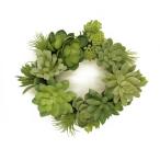  суккулентное растение sakyu Len to lease Mini 20cm искусственная зелень искусственный цветок растения натуральный вход Inte rear living простой Северная Европа .. нет симпатичный модный много мясо .