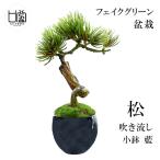  бонсай сосна дуть . сток S размер искусственная зелень Mini размер маленькая миска индиго искусственный цветок декоративное растение интерьер орнамент модный современный настоящий подарок подарок CUPBON PRGR-1217