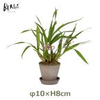  цветочный горшок 3 номер диаметр 10cm глубина 8cm поддонник комплект круглый модный симпатичный терракота керамика растение в горшке pot низ дыра есть садоводство цветок веранда балка gs Jeury -BER