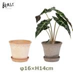  горшок терракота 5 номер φ16cm H14cm Италия поддонник тарелка есть блюдце серый простой цветочный горшок покрытие наружный одноцветный глубокий type модный садоводство двор садоводство Copen - -gen