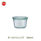 キャニスター 保存容器 密閉容器 ガ