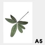 ポスター アートポスター おしゃれ 北欧 北欧ポスター ペーパーコレクティブ Floating Leaves 06 A5 クリア メール便 対応 Paper Collective 8128 透明 葉 葉っ