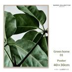 ポスター アートポスター おしゃれ 北欧 北欧ポスター Green home 01 30x40cm ペーパーコレクティブ 09118 インテリア アート 植物 デザイン 自然 ナチュラル 葉