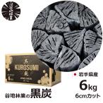 炭 木炭 黒炭 6kg 国産 バーベキュー 