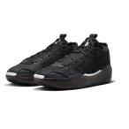 NIKE AIR JORDAN 39 PF ナイキ エア ジョーダン 39 PF