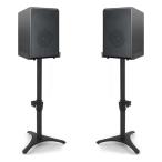 BQKOZFIN настольный контрольный динамик подставка пара настольный динамик подставка компьютер динамик DJ для черный 2 уровень ширина 2