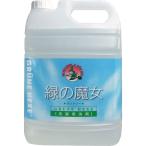 緑の魔女 ランドリー 業務用 5L3個セット