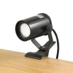  Elpa (ELPA) LED светильник с зажимом LED свет уличный 380lm лампа цвет соответствует примерно 1.5m черный наружный для SPOT-LWP