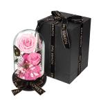  консервированный цветок симпатичный .. нет цветок роза rose роза гортензия 3 цвет роман tik модный стекло купол LED с подсветкой 