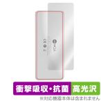 Shanling UA4 背面 保護 フィルム OverLay Absorber 高光沢 for シャンリン ポータブル DAC/AMP 衝撃吸収 高光沢 抗菌