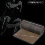 幅12.5cm×長さ5.4m ディーアンドエム メンズ レディース セラバンド THERABAND 強度レベル+3 トレーニングバンド エクササイズ マニュアル付き TB5