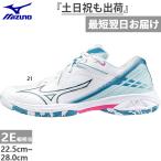 2E幅 ミズノ メンズ レディース ウエーブクロー 3 FIT バドミントンシューズ ローカット 日本バドミントン協会検定合格品 71GA2442