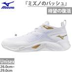 2.5E ширина соответствует Mizuno мужской женский ue-b транзистор баскетбол обувь bashu low cut W1GA2400