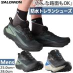  водонепроницаемый Salomon мужской GENESIS Gore-Tex GENESIS GTX альпинизм обувь альпинизм обувь трейлраннинг обувь tore Ran L47518700