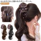  заколка-резинка "конский хвост" парик ek стерео "конский хвост" отметка парик волосы - зажим "конский хвост" чёрный чай парик medium Karl присоединение шерсть 