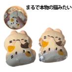  -тактный отсутствует аннулирование squishy кошка низкая упругость SNS. тема модный Y2K кошка squishy .. симпатичный .. моти моти игрушка ... тоже .. моти 