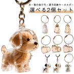 ショッピングメモリアル ペット ペット 抜け毛 収納ボトル 犬 猫 透明カプセル 透明カプセル 2個 ペットメモリアルボトル 毛を保管するボトル キーホルダー 犬用 猫用 ペ