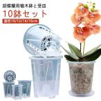 多肉植物 透明 屋外 植木鉢 受皿付き 穴付き プラスチック 蘭の鉢 10鉢セット 洋蘭鉢 植木鉢 屋内 蝶蘭 胡蝶蘭の植え替え オーキッドポット 観
