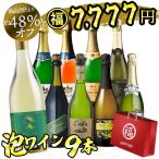 ワイン ワインセット 赤白泡13本 辛口 ワイン福袋 福袋 赤ワイン 白ワイン スパークリング 送料無料 一部除外