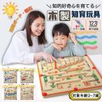 モンテッソーリ玩具 知育玩具 木のおもちゃ 木製磁気迷路 6歳以下 マグネット迷路ボード おもちゃ 指先訓練 早期開発 脳トレ 誕生日 プレゼント