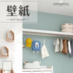 SP2511 �ǎ� �̂�Ȃ� �ʎY�N���X �T���Q�c