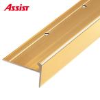 10-2080 穴有 カット M売り アシスト (注文数×1Ｍ)(1本最長2ｍまで) 現場配送不可