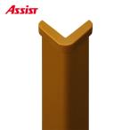 66-3529(CA) 2 штук CM Camel Brown 2 штук комплект продажа assist площадка рассылка не возможно 