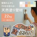 塗り壁 壁紙の上からそのまま塗れる 天然塗り壁材 ひとりで塗れるもん 22kg 施工面積18〜20平米用 送料無料