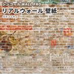 送料無料 小サイズ リアルウォール グラフィティ 壁紙 のりなし クロス おしゃれ シンコール ウォールプロ RW18209 (2分割1セット)