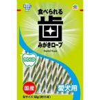 アース　歯みがきロー