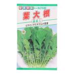 トーホク　F1葉大根緑美人 10ml 大根 ビバホーム