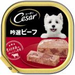 シーザー吟選ビーフ　100ｇ 100g ビーフ ビバホーム