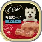 シーザー吟選ビーフ まぐろ入り　100ｇ 100g まぐろ入り ビバホーム