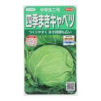 サカタ　四季まきキャベツ　中早生２号 1ml キャベツ ビバホーム