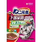 猫用ドライフード